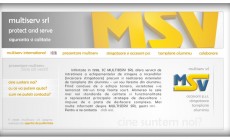 msv