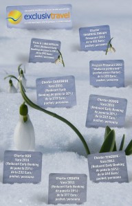 newsletter 06012011