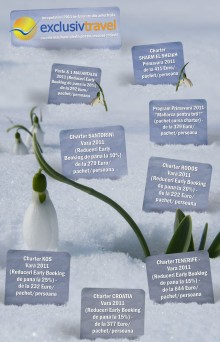 newsletter 06012011