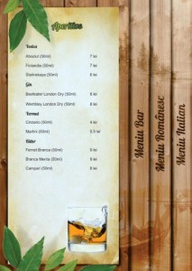 pagina bar continut